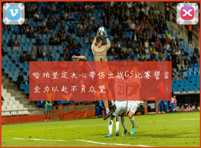 哈珀坚定决心带伤出战G5比赛誓言全力以赴不负众望